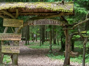 Girinio takas
