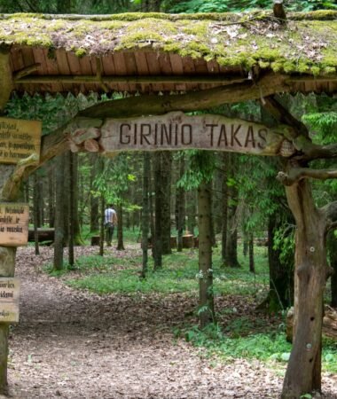 Girinio takas