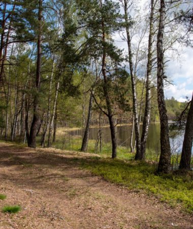 Maršrutas Briedžių takais