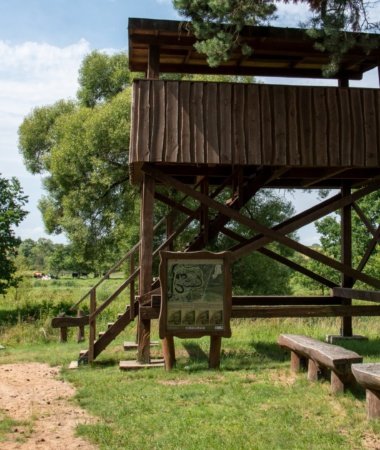 Nevėžio upės slėnio pažintinis takas