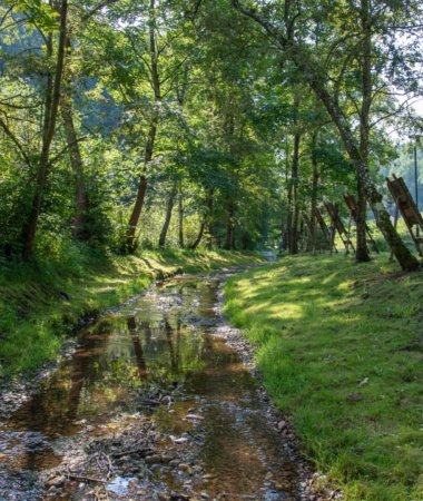 Plokščių pažintinis takas