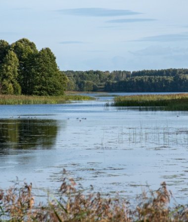Šventosios aukštupio pažintinė trasa