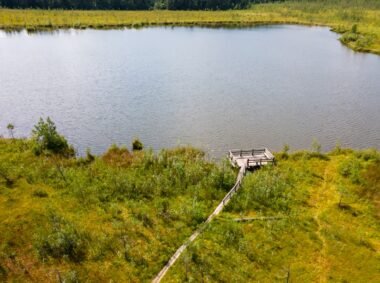 Skroblaus pažintinis takas