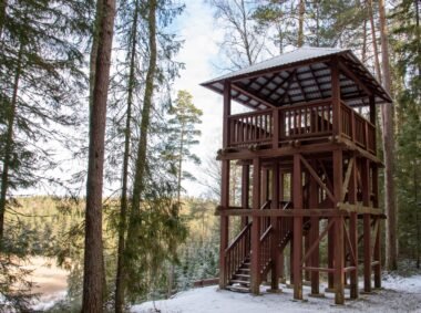 Paplatelės pažintinis takas