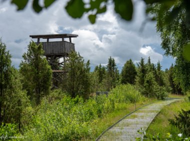 Šauklių riedulyno pažintinis takas