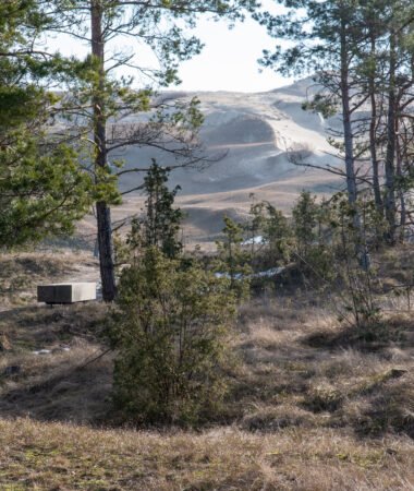 Naglių gamtinio rezervato pažintinis takas
