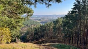 Takas aplink Vilnių