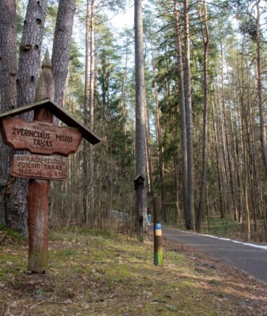 Žvėrinčiaus miško takas