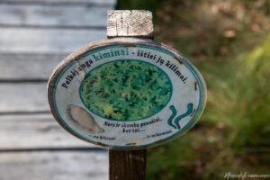 Dubravos rezervatinės apyrubės pažintinis takas