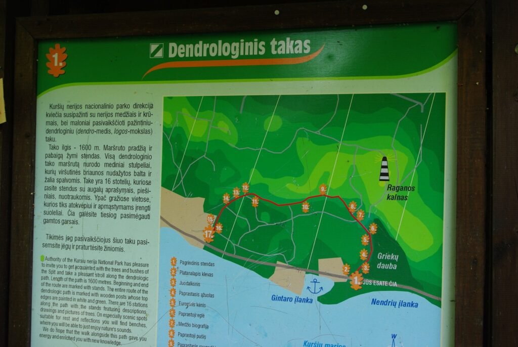 Dendrologinis takas Juodkrantėje