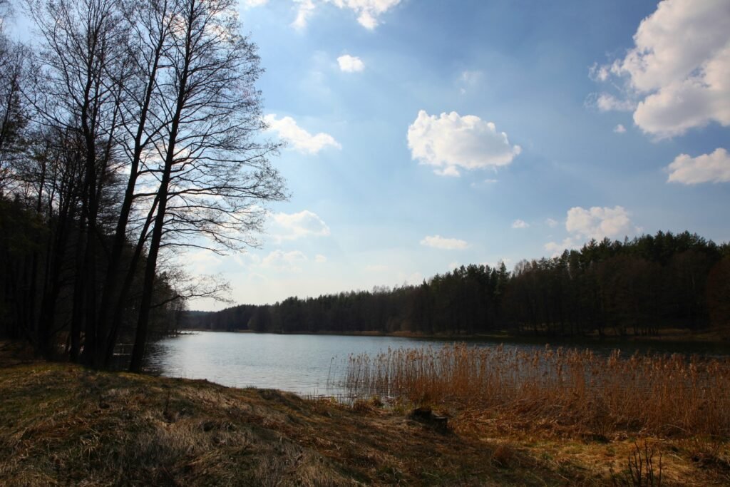 Pėsčiųjų takas Ančios ežero pakrante