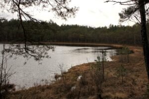 Pėsčiųjų maršrutas Briedžių takais