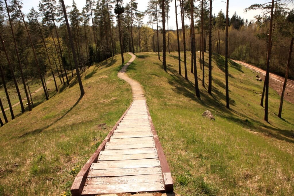 Kačėniškės piliakalnio pažintinis takas