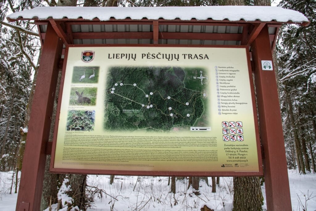 Liepijų pėsčiųjų trasa