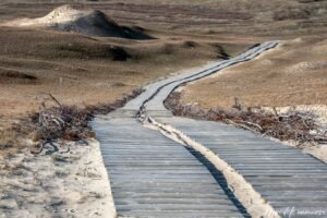 Naglių gamtinio rezervato pažintinis takas