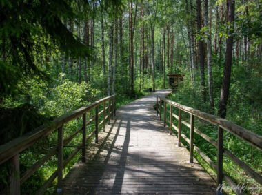 Pašilių stumbryno pažintinis takas