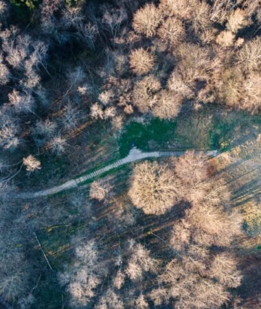 Rokantiškių piliakalnio pažintinis takas
