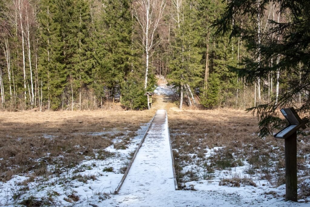 Šeirės pažintinis takas