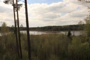 Vainagių miško pažintinis takas