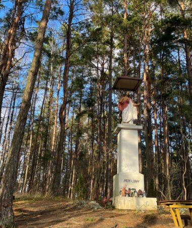 Verkių trasa