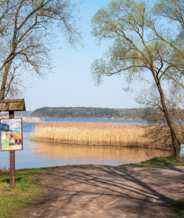 Kapitoniškių pažintinis takas