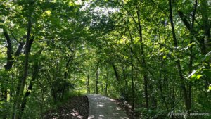 Takas į Rumšiškių prieplauką