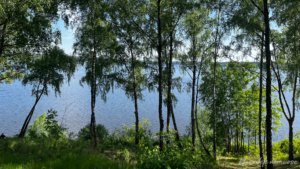 Kauno marių pakrantė Rumšiškėse