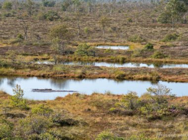 Aukštumalos pažintinis takas