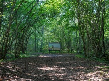 Žalgirių pažintinis takas