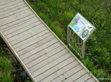 Debesnų botaninis takas