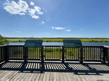 Merguvos ežero apžvalgos bokštas