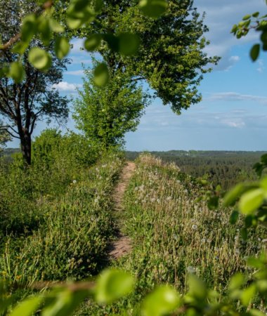 Budelių piliakalnis