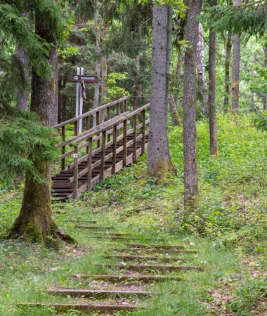 Dauginčių piliakalnis