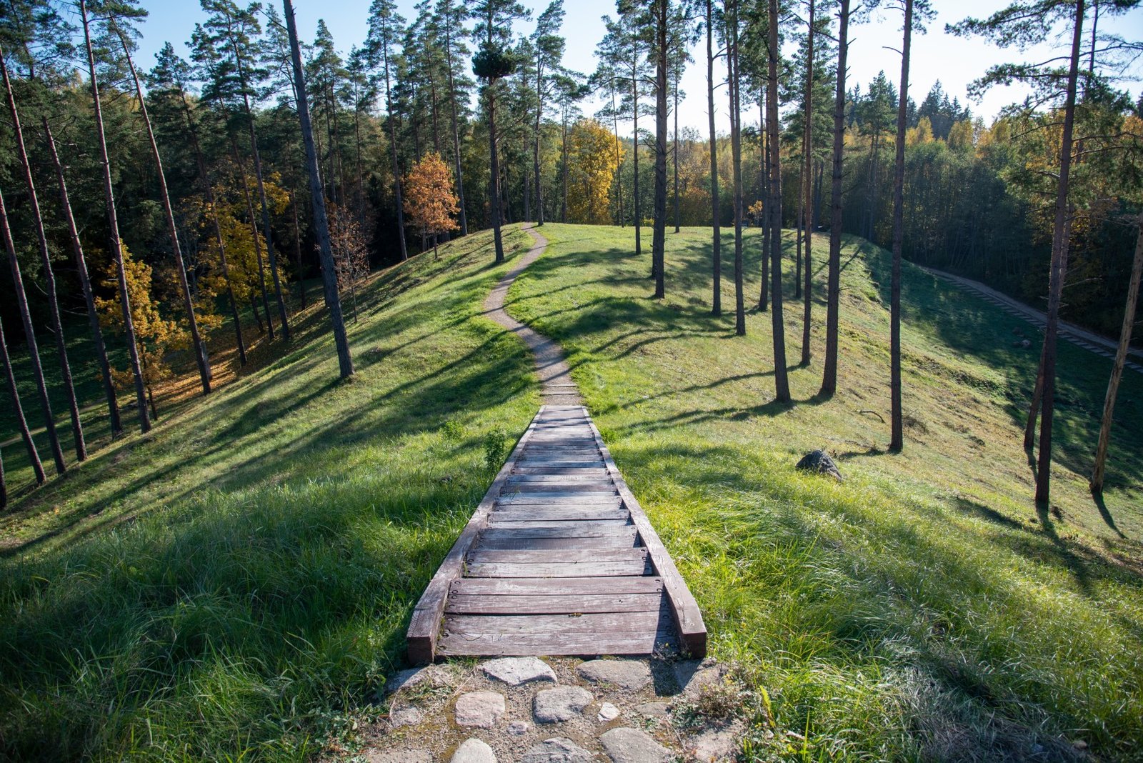 Kačėniškės piliakalnis