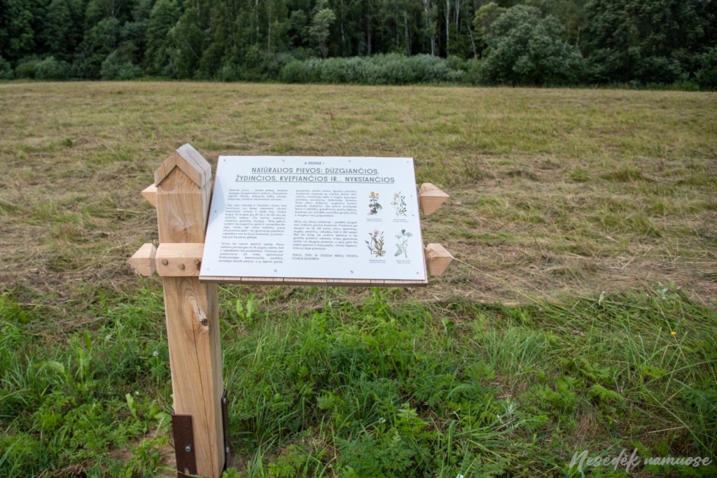 Vyžuonų šilo gamtos takas