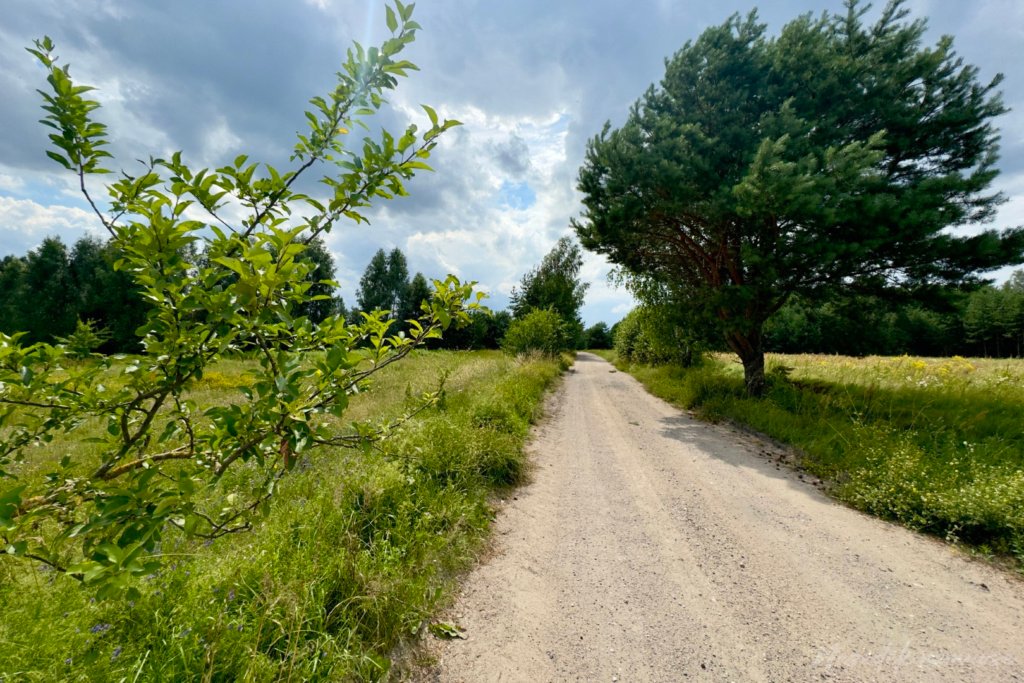 Vyžuonų šilo gamtos takas