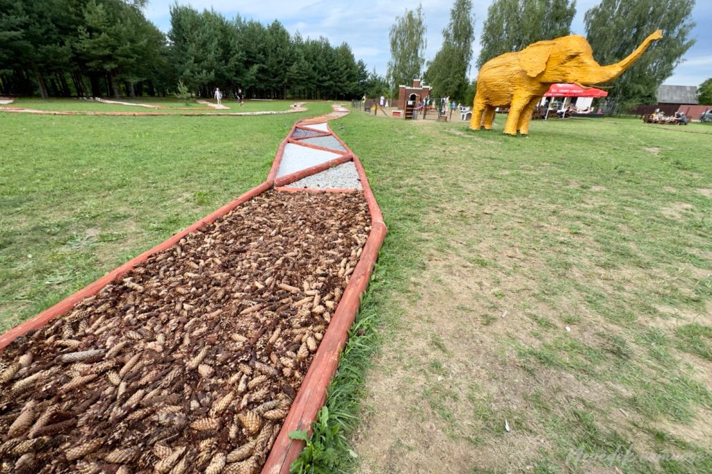 Basomis per Kadagynę - basų kojų takas