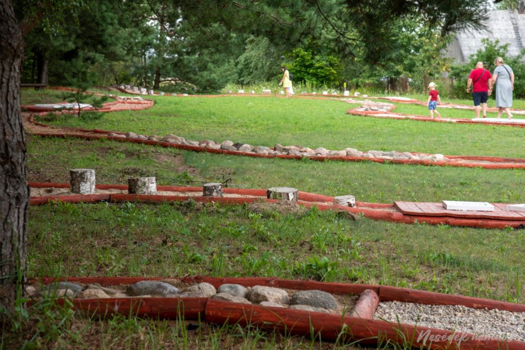 Basomis per Kadagynę - basų kojų takas