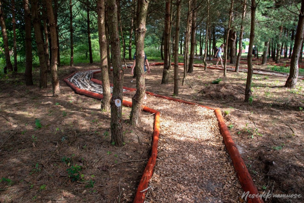 Basomis per Kadagynę - basų kojų takas