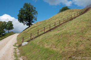 Pėsčiųjų maršrutas "Per kabančius tiltus"