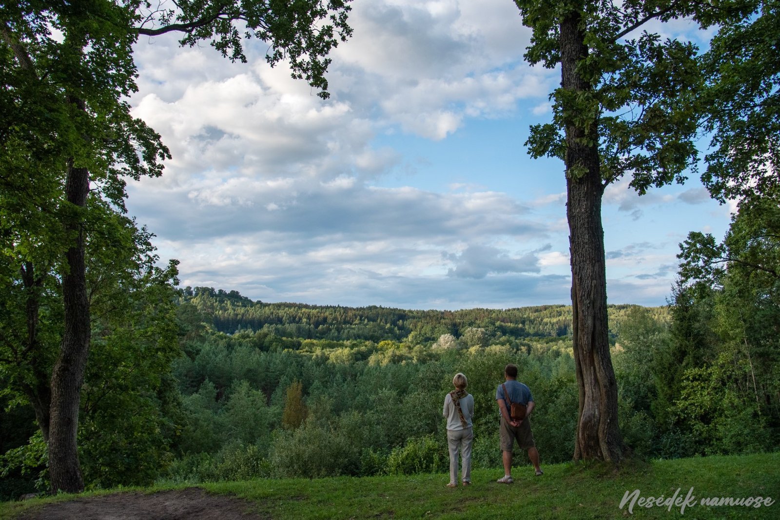 Pūčkorių piliakalnis