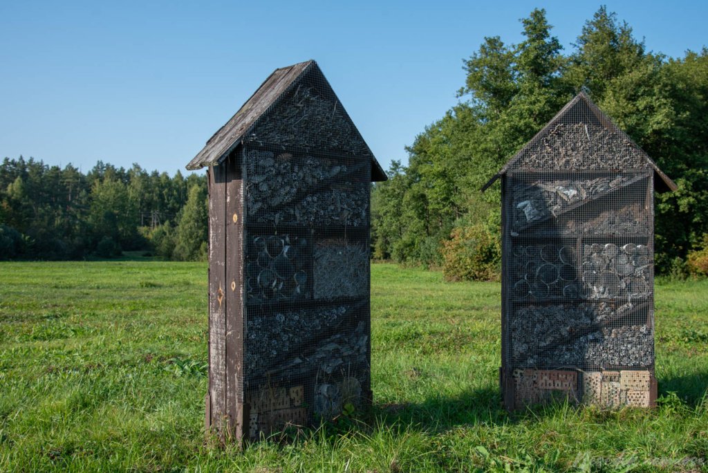 Ančios šiaurinės apyežerės pažintinis takas