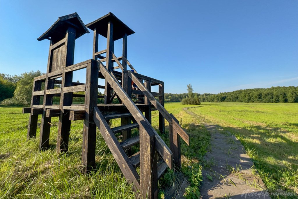 Ančios šiaurinės apyežerės pažintinis takas