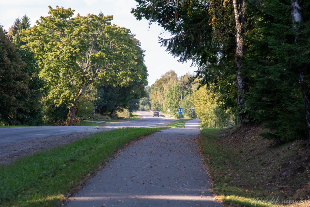 Ilgio ežero pėsčiųjų trasa