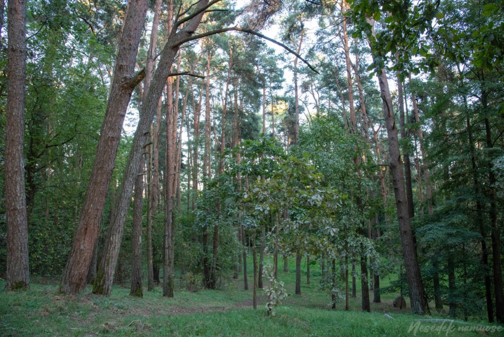 Pakalniškių piliakalnis