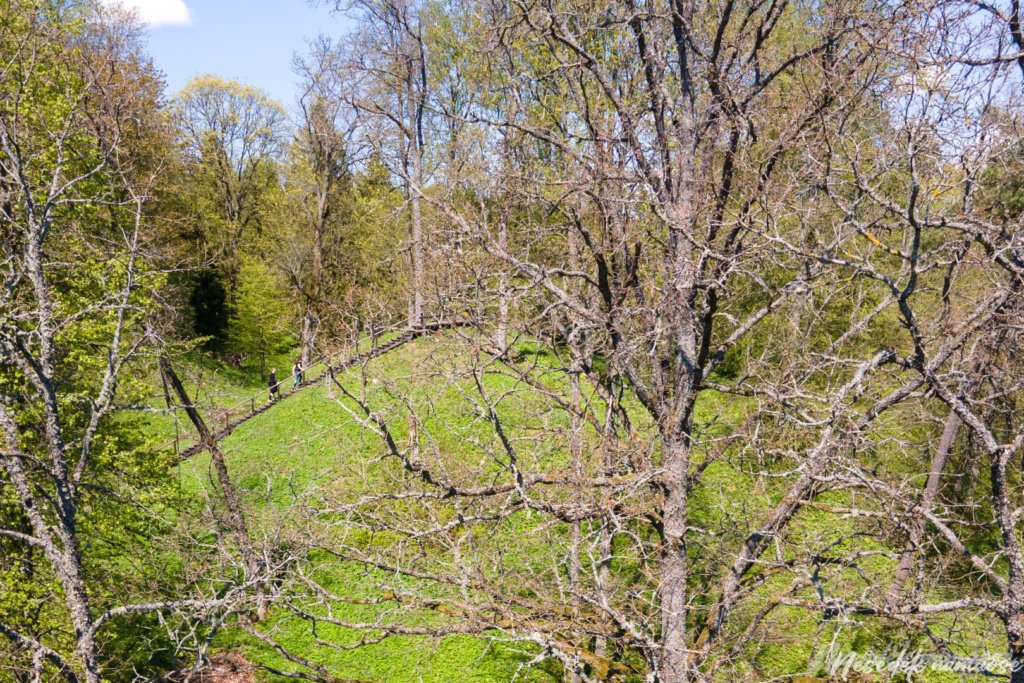 Naujasodžio Mošos piliakalnis