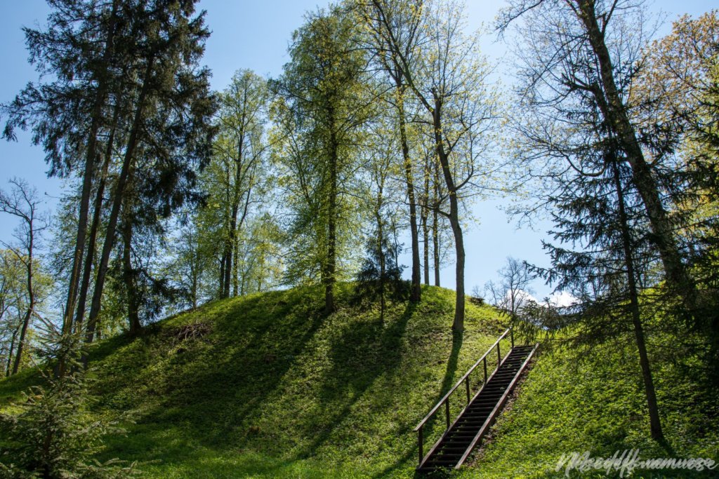 Naujasodžio Mošos piliakalnis