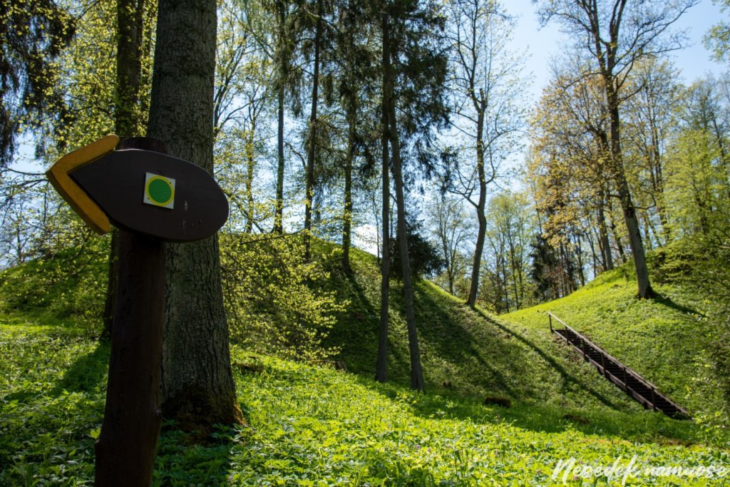 Naujasodžio Mošos piliakalnis