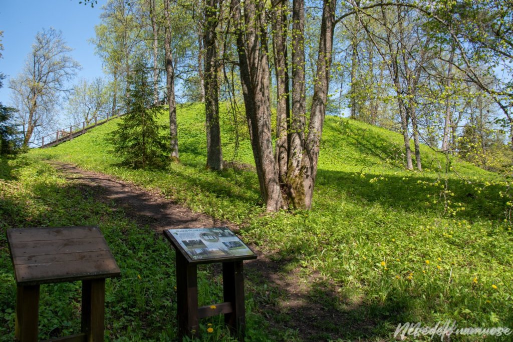 Naujasodžio Mošos piliakalnis