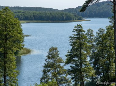 Papiliakalnės piliakalnis